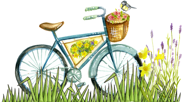 A Bicycle With Flowers In The Basket PNG