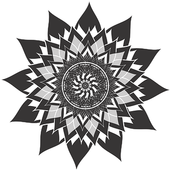 A Black And White Flower PNG