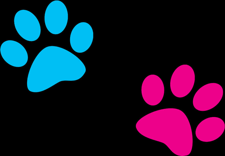 A Blue And Pink Paw Prints PNG
