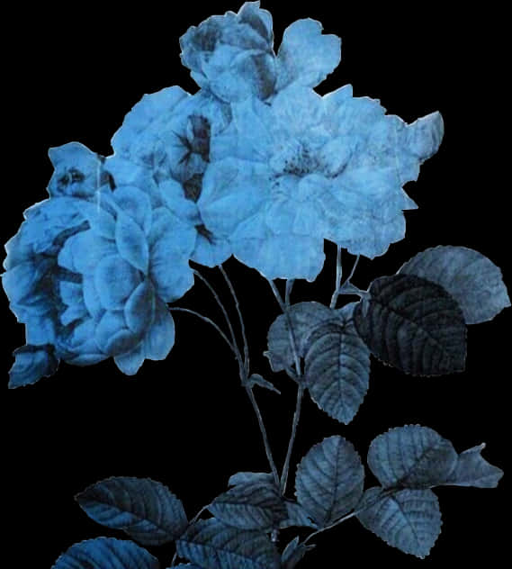 A Blue Flower With Leaves PNG