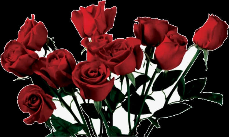 A Bunch Of Red Roses PNG