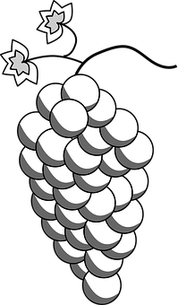A Bunch Of White Balls PNG