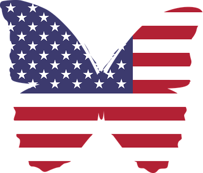 A Butterfly With A Flag PNG