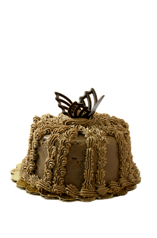A Cake With Chocolate Frosting PNG