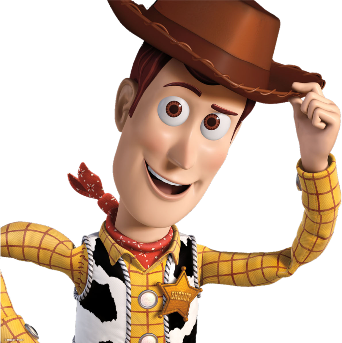 A Cartoon Character With A Cowboy Hat