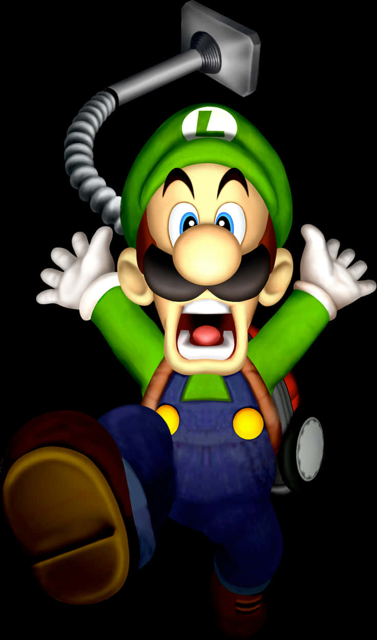 A Cartoon Character With A Mustache And Green Hat PNG