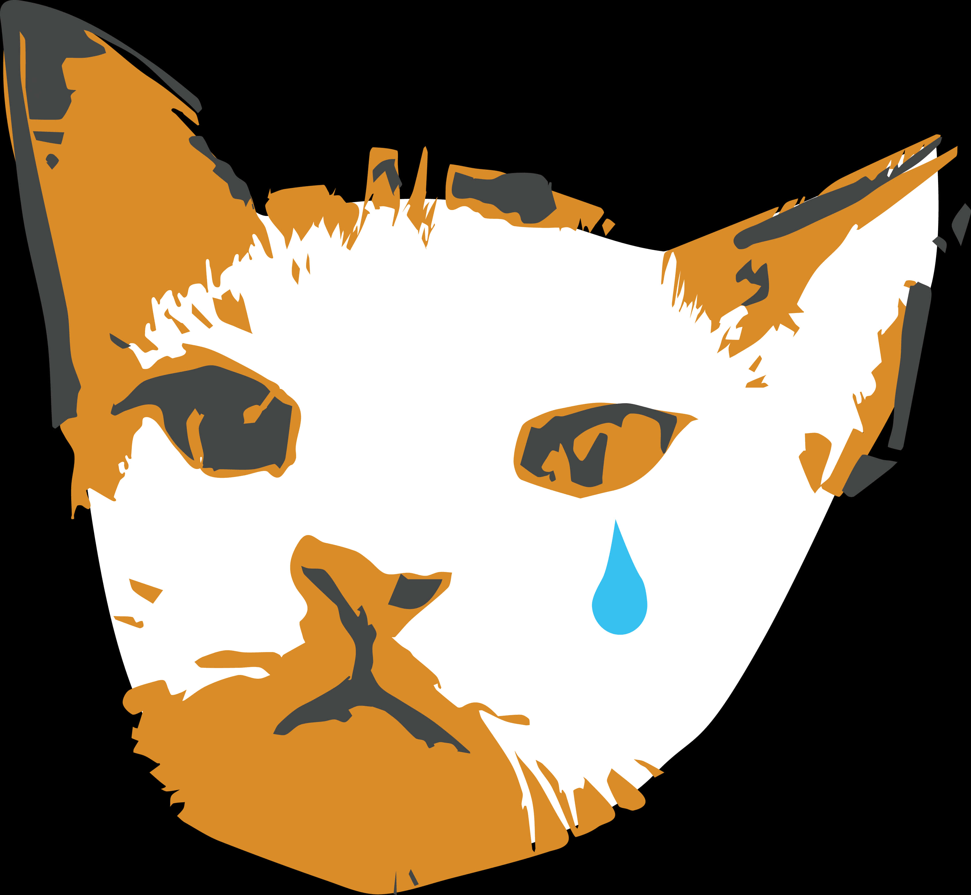 A Cat With A Teardrop PNG