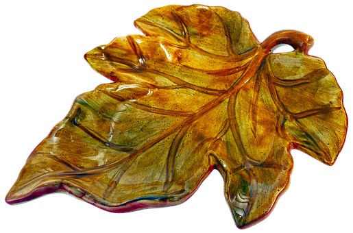 A Close Up Of A Leaf PNG