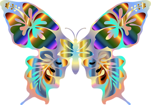 A Colorful Butterfly With Multiple Colors PNG