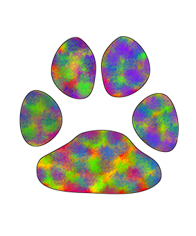 A Colorful Paw Print On A Black Background PNG