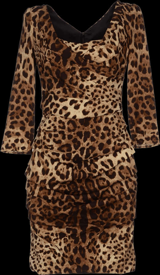 A Dress With A Leopard Print PNG