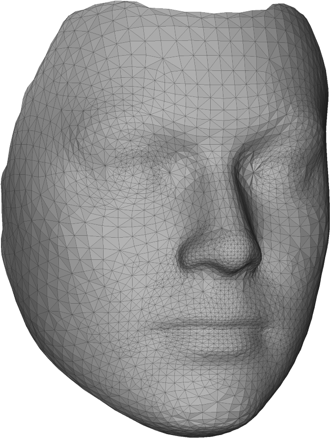 A Face With Lines And Dots