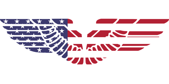 A Flag With Wings On A Black Background