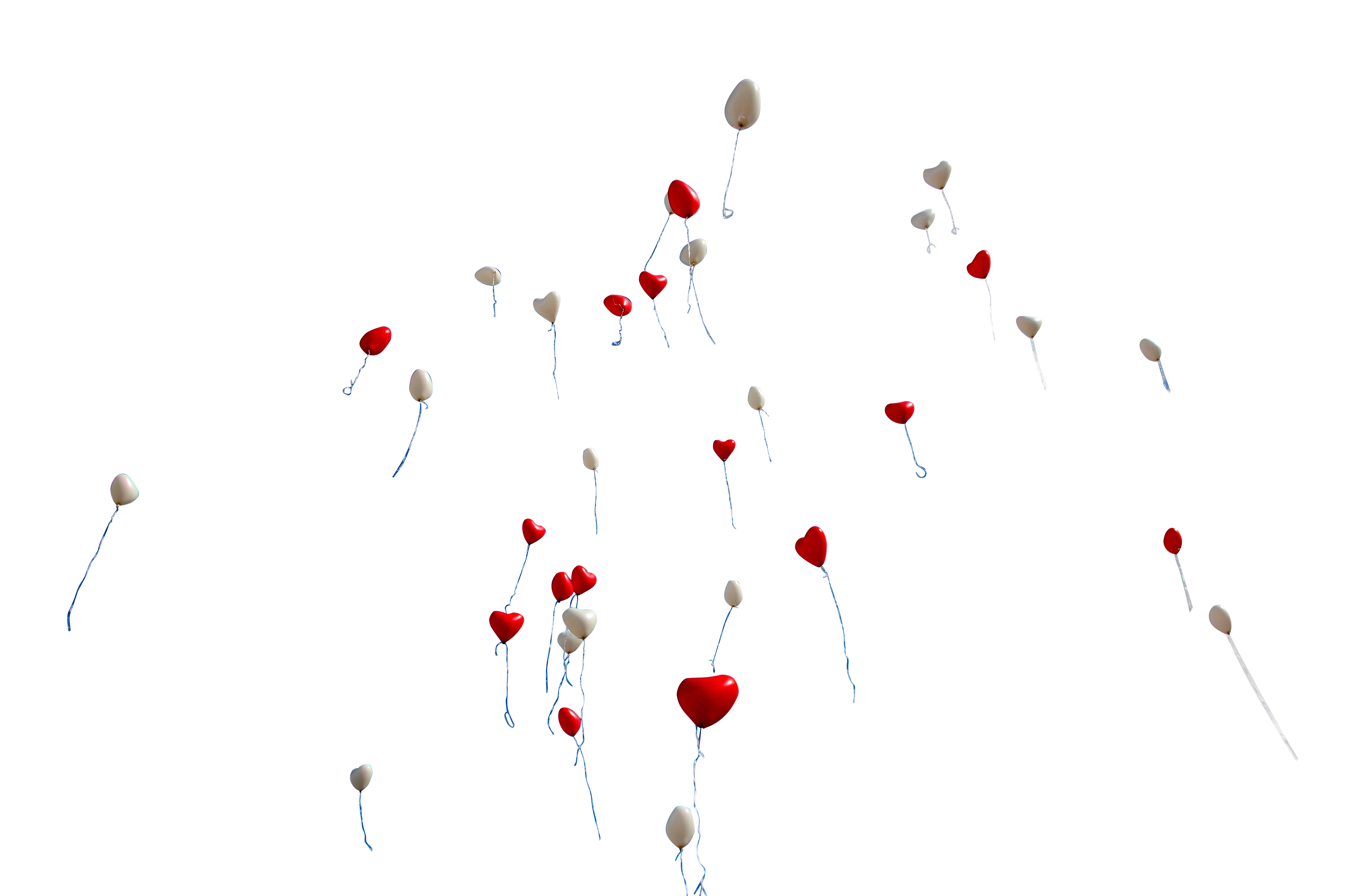 A Group Of Balloons In The Sky PNG