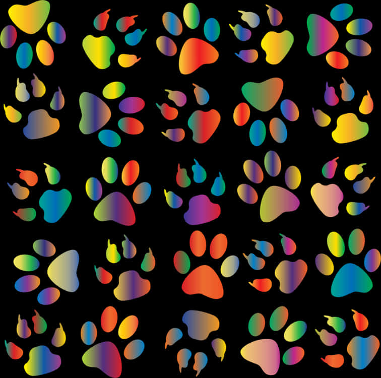 A Group Of Colorful Paw Prints PNG