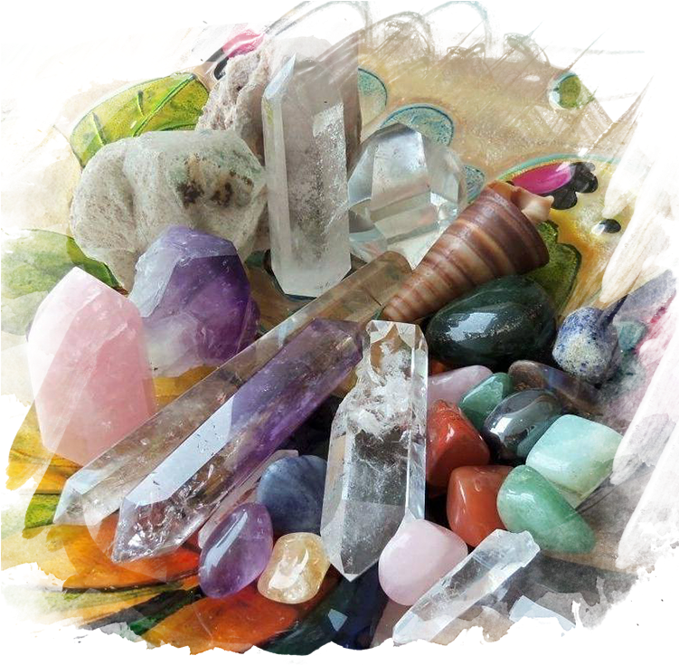 A Group Of Crystals And Shells PNG