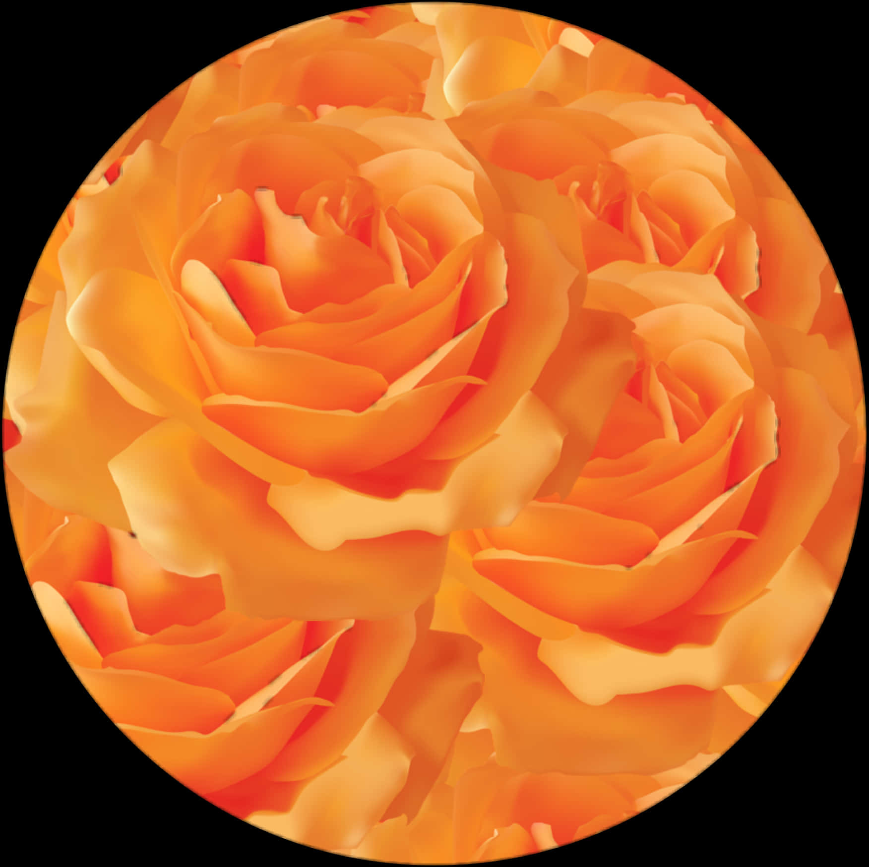 A Group Of Orange Roses PNG