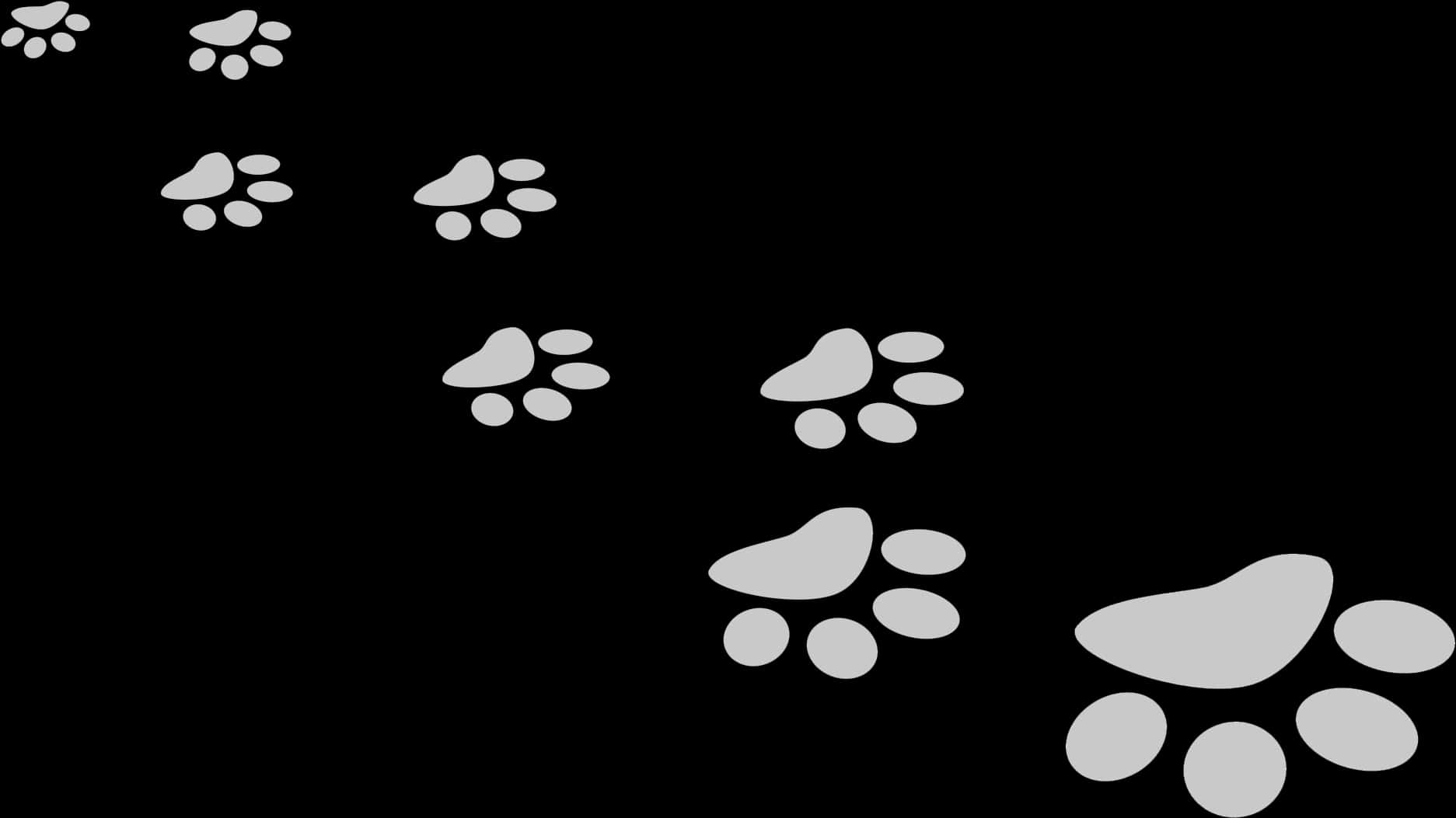A Group Of Paw Prints On A Black Background PNG
