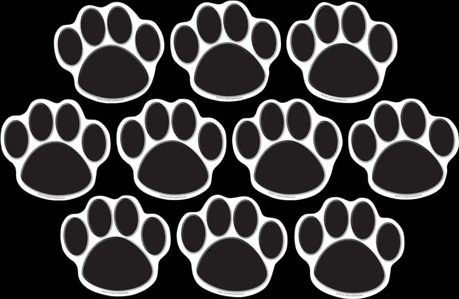 A Group Of Paw Prints PNG