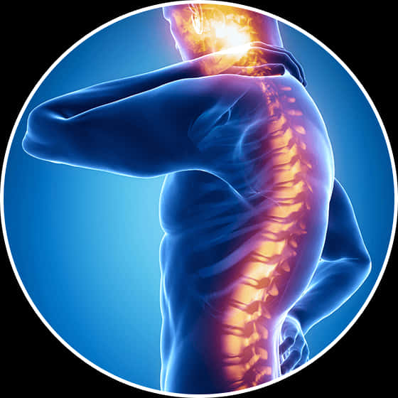 A Man With Back Pain PNG