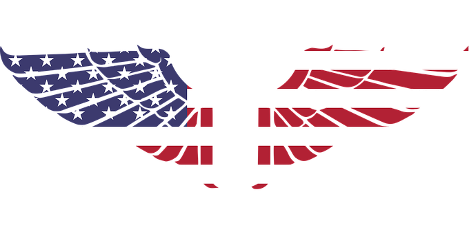 A Pair Of Wings With A Flag On It PNG