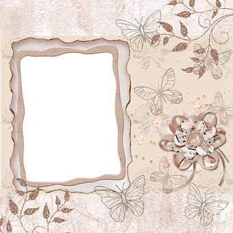 A Photo Frame With Butterflies And Flowers PNG