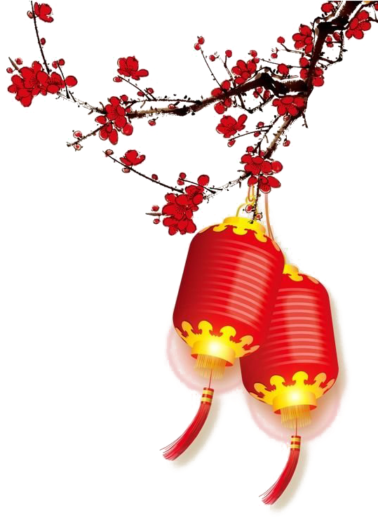 A Red And Yellow Lanterns From A Branch PNG