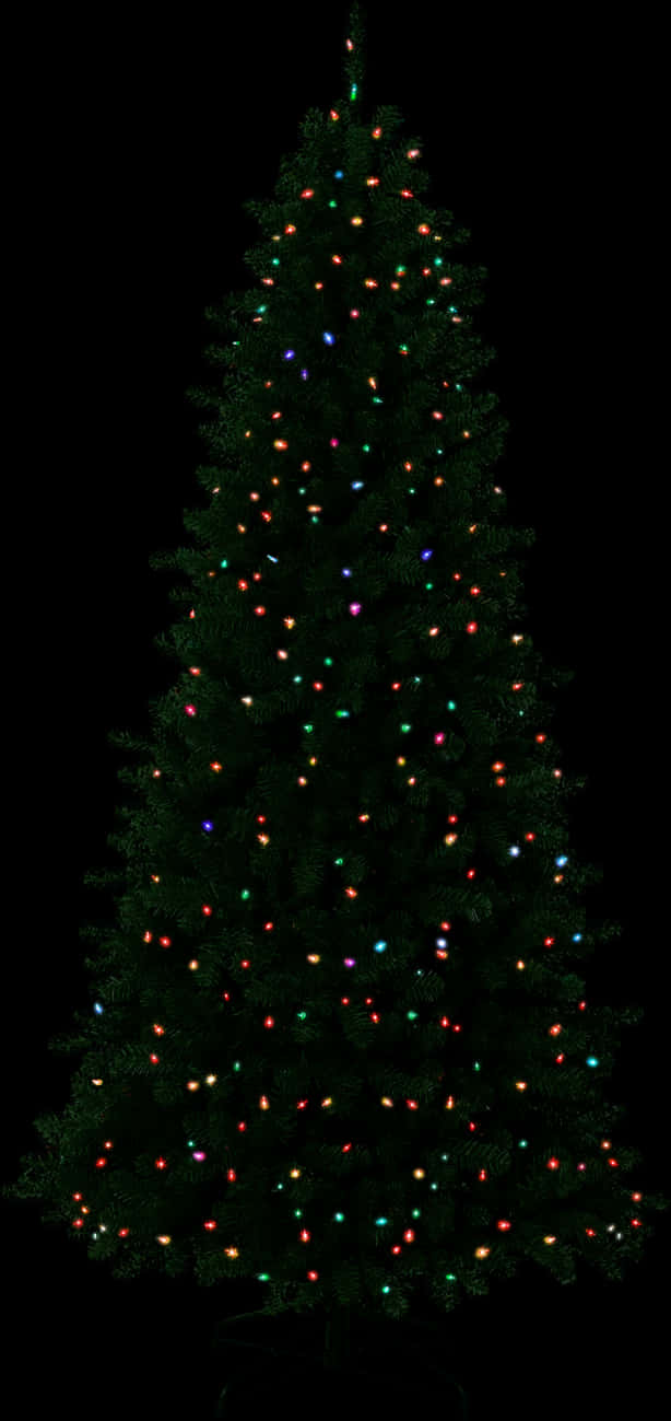 A Tree With Lights On It PNG