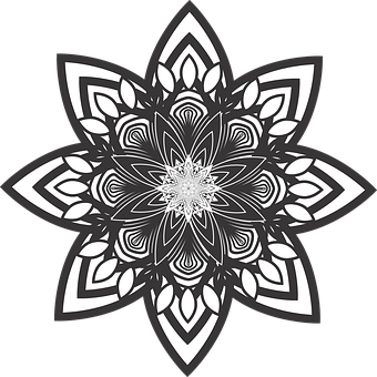 A White And Black Flower PNG