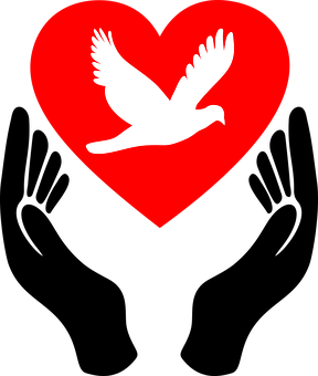 A White Bird In A Heart PNG