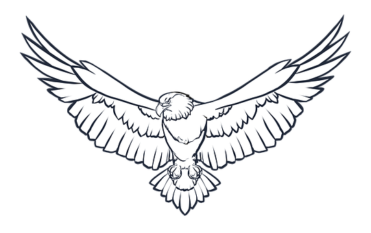 A White Eagle With Wings Spread PNG