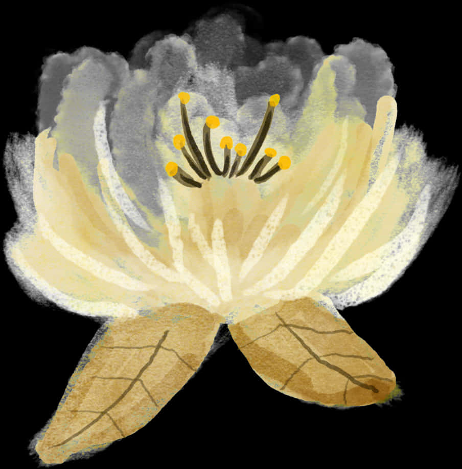 A White Flower With Yellow Petals PNG