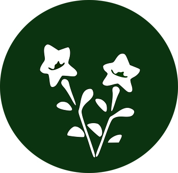 A White Flowers On A Green Background PNG