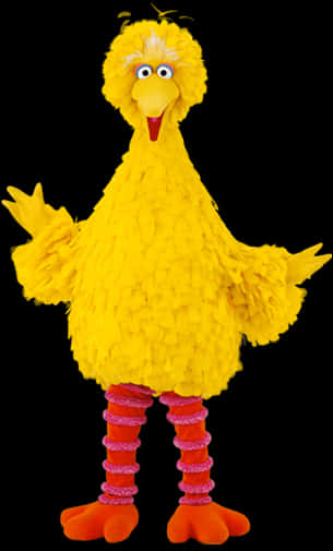 A Yellow Bird Garment With Pink And Red Socks PNG